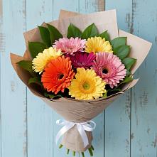 Букет цветов из:  Герберы в Хучнях