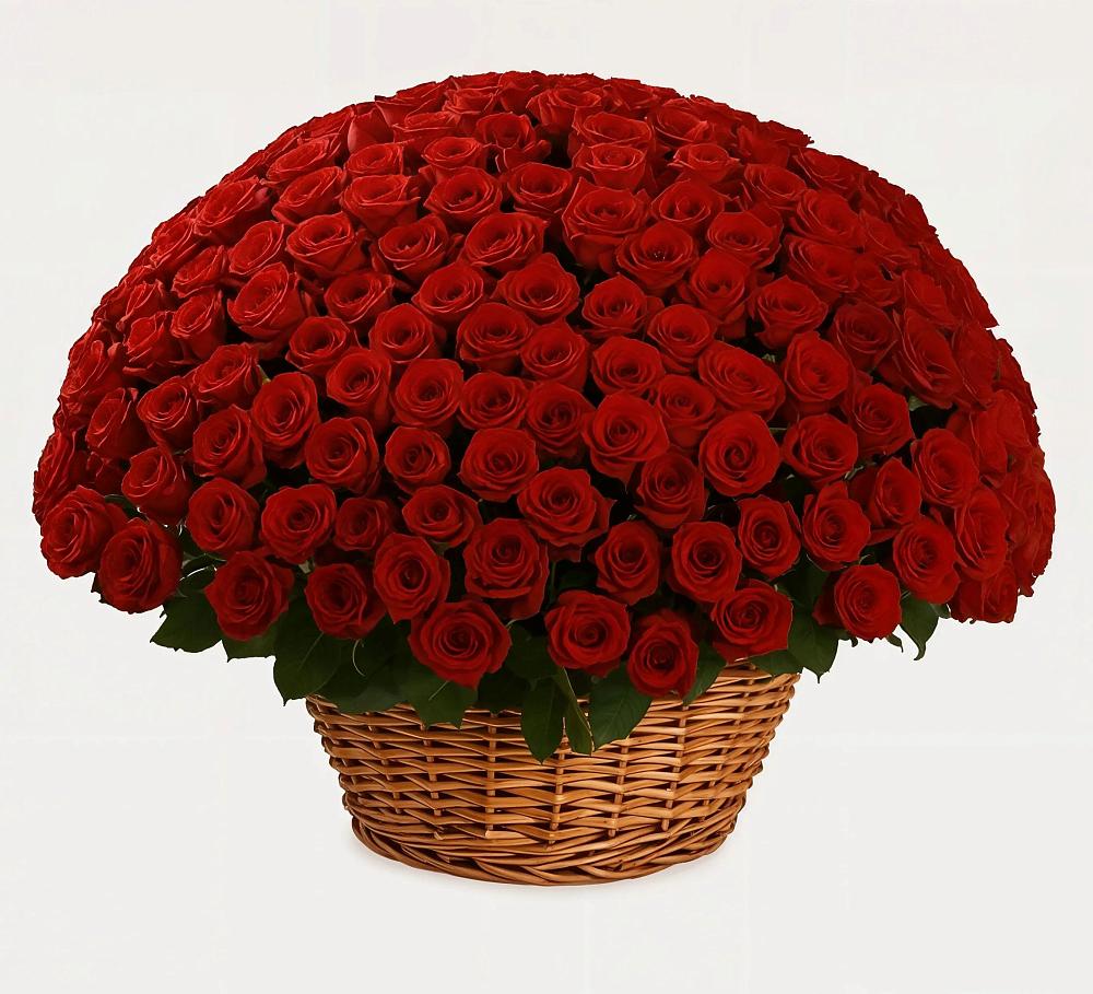 Премиум букет из: Розы в Хучнях