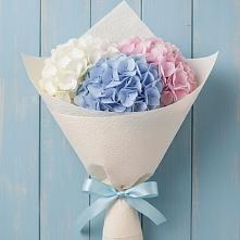 Букет цветов из:  Гортензия в Хучнях