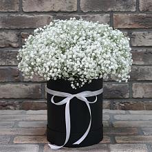 Цветочная композиция из Гипсофила в шляпной коробке #REPLACE_PRED# Хучнях
